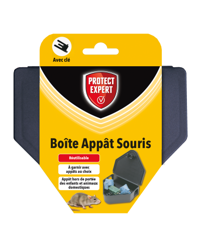 Protect expert boîte appât souris avec clé