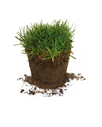 BARENBRUG Littoral et fortes chaleurs 15KG