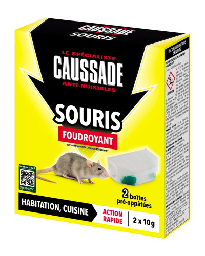 Caussade poste souris pré-appâtées foudroyant 20g