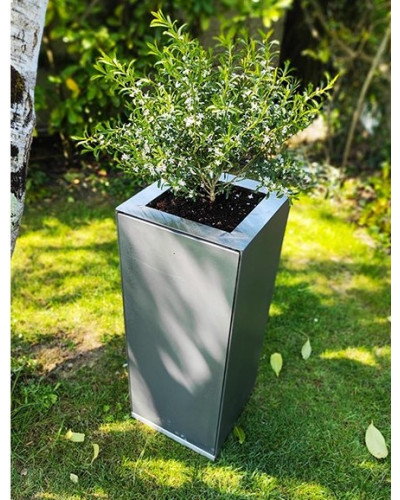 PIège à moustique connecté Garden - Ma boite à moustique