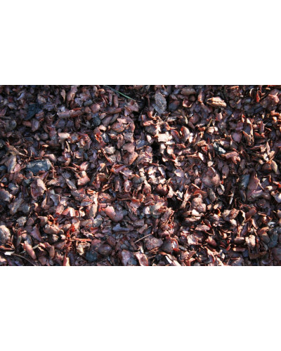 Paillage coque de cacao sac 100L