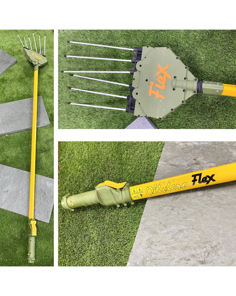 Secoueur à olives électrique à batterie Oliviero Flex Basic télescopique - 220 - 340cm