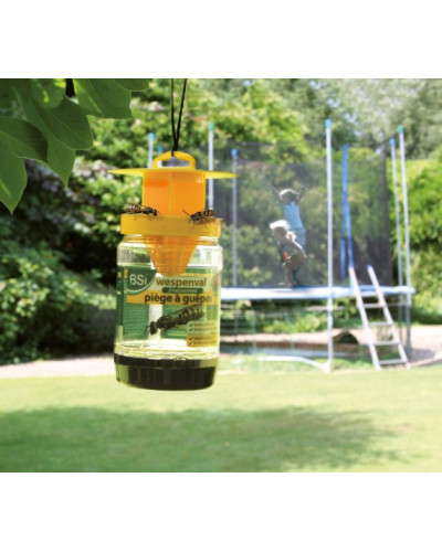 Piège à guêpes + attractif 200ml BSI
