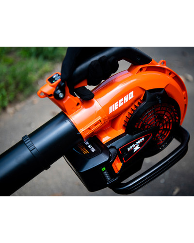 Souffleur électrique DPB2600 pack C2 Echo