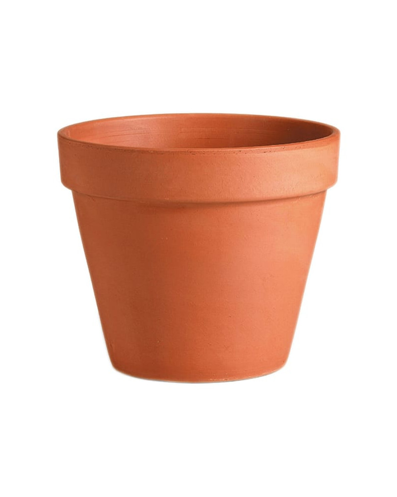 Pot en terre cuite Ø35cm forme STANDARD