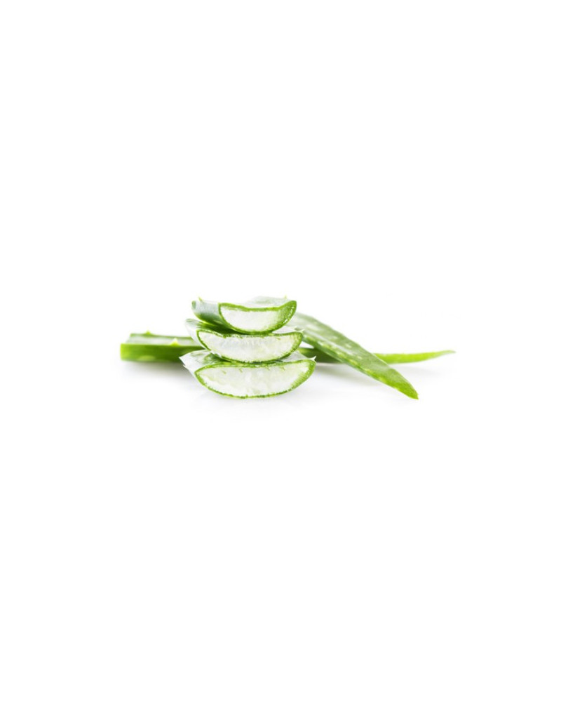GEL D’ALOE VERA CHEVAL- A base de pulpe d’Aloé – Soin hydratant de l’épiderme du cheval