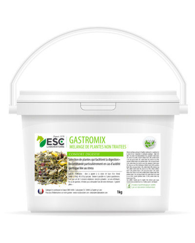 Gastromix 1kg ESC