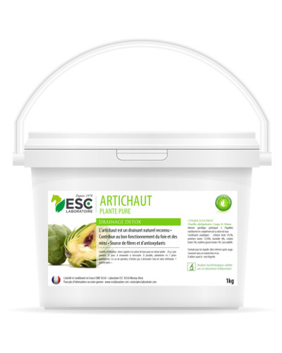 Artichaut 1kg ESC