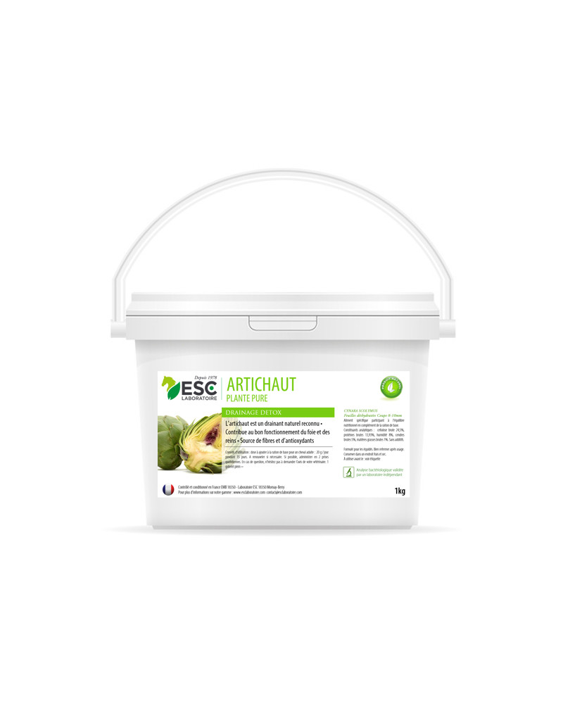 Artichaut 1kg ESC
