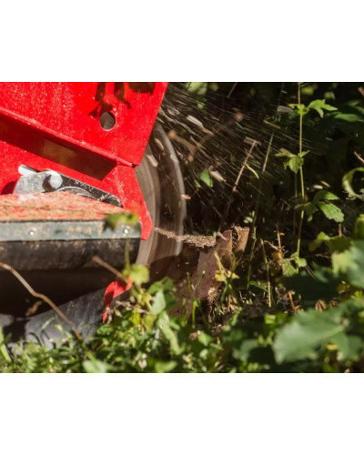 Rogneuse de souche B28 FSI Kohler