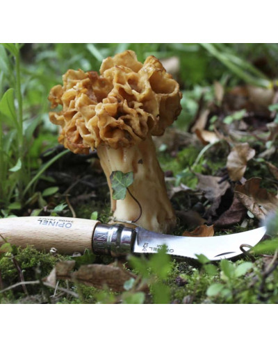 Opinel couteau champignon n°8 blister