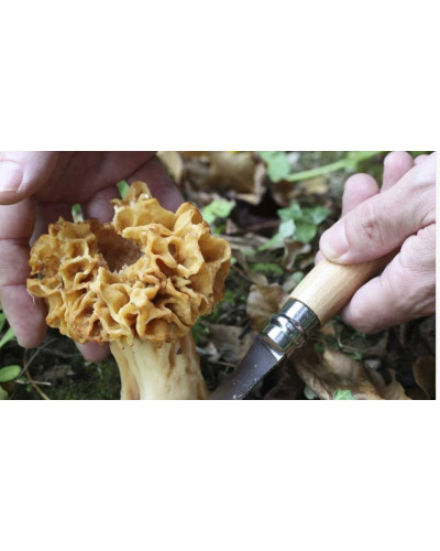 Opinel couteau champignon n°8 blister