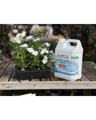 Subito clarifiant oxygène actif -  5 L