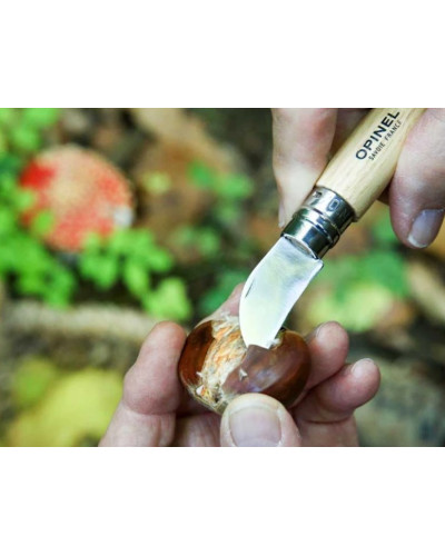 OPINEL couteau châtaigne et ail