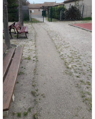 Désherbeur mécanique motorisé BIN'WALK