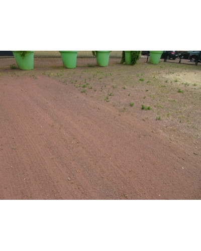 Désherbeur mécanique motorisé BIN'WALK