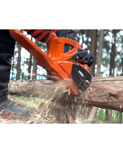 Tronçonneuse batterie DCS2500 ECHO Pack batterie