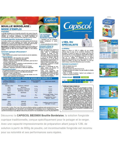 Capiscol bouillie bordelaise 800g