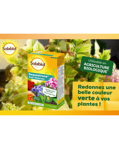 Solabiol sequestrene 100g anti chlorose
