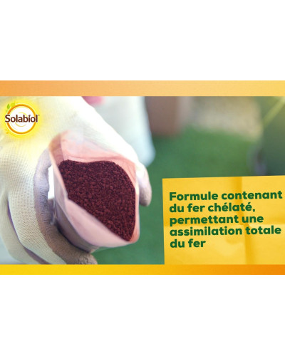 Solabiol sequestrene 100g anti chlorose