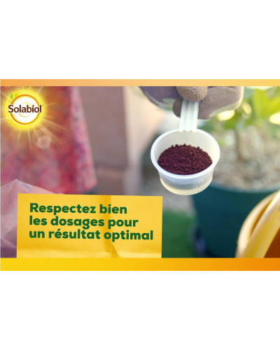 Solabiol sequestrene 100g anti chlorose