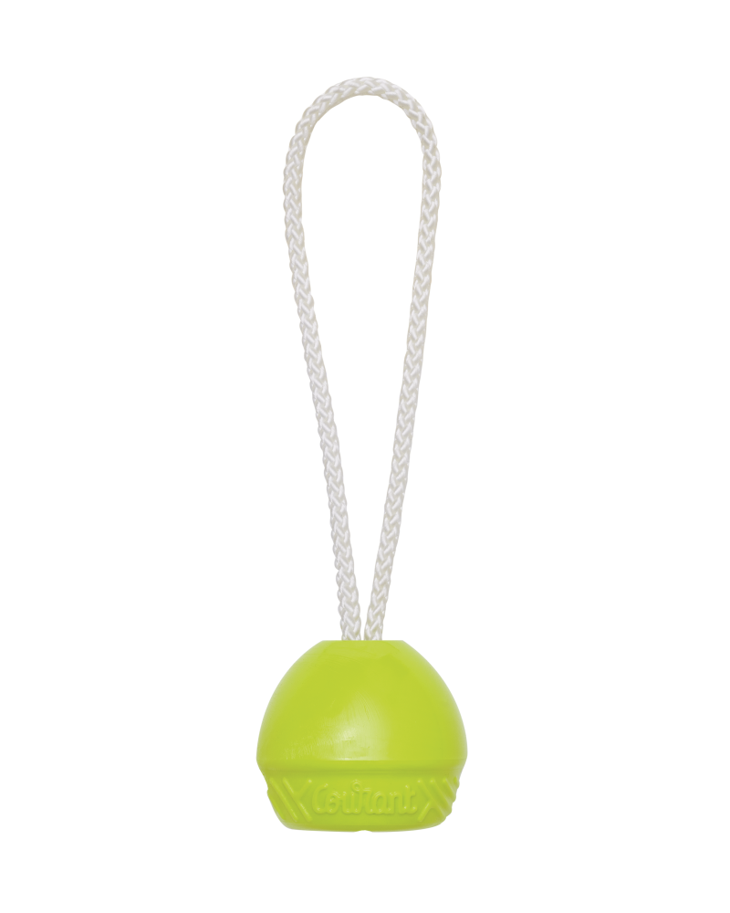 Boule de ferlette Scrat jaune