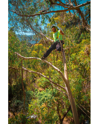 Corde 11.7mm x 50m 2 épissures Komora