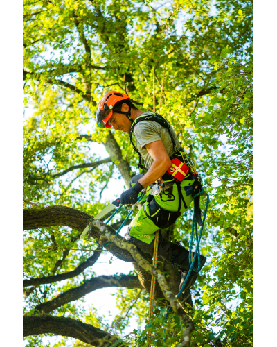 Baudrier d'élagage S Koala