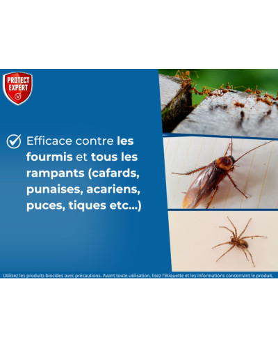 Poudre Fourmis Protect Home | eCoopazur