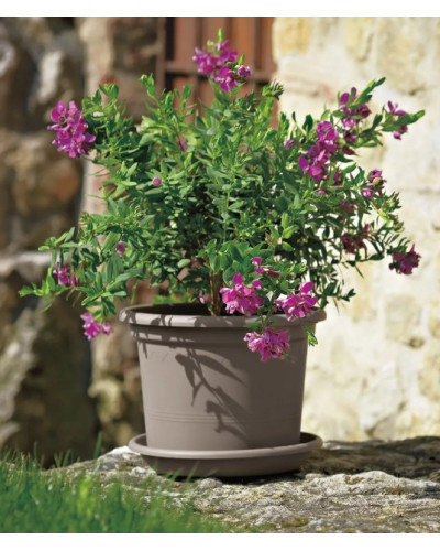 Soucoupe PVC Medea Tourterelle 24 cm