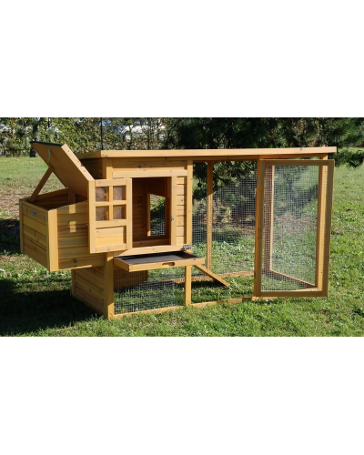 Poulailler COTTAGE 2 en sapin avec pondoir et toit en shingle