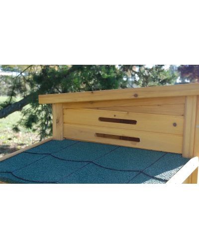 Poulailler COTTAGE 2 en sapin avec pondoir et toit en shingle