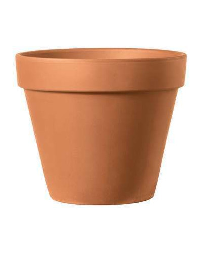 Pot en terre cuite Ø8cm forme STANDARD