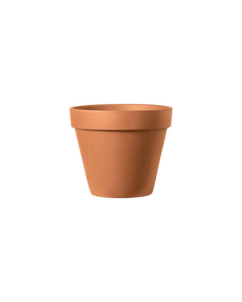 Pot en terre cuite Ø21cm forme STANDARD