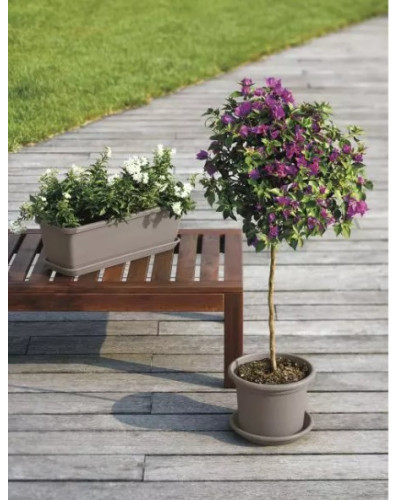 Soucoupe PVC Medea tourterelle 32 cm