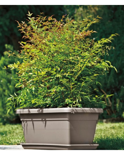Jardinière Akea 60 cm tourterelle
