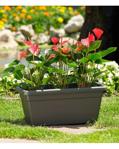 Jardinière Akea 80 cm anthracite