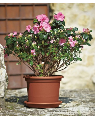 Pot PVC Gamme Geo 50 cm Terre cuite