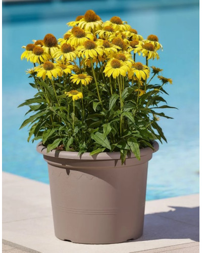 Pot PVC Tourtetlle Gamme Geo 50 cm