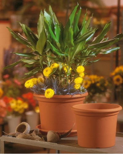 Pot PVC Gamme Terre cuite 70 cm Terre cuite