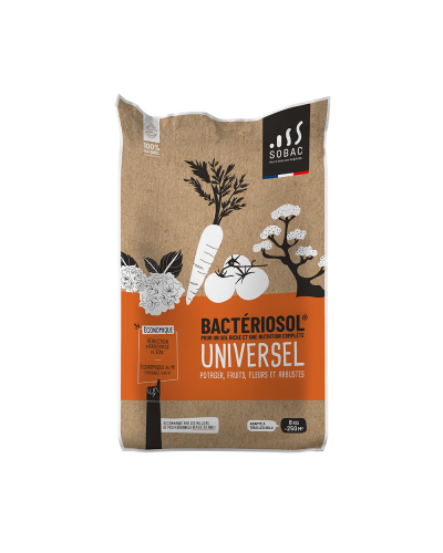 Bactériosol universel 8kg