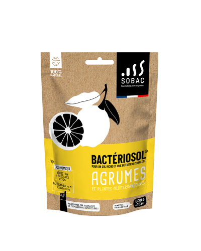 Bactériosol agrumes 500g