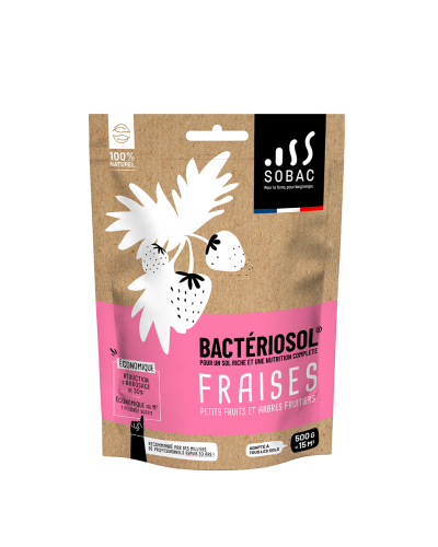 Bactériosol fraise petits fruits 500g