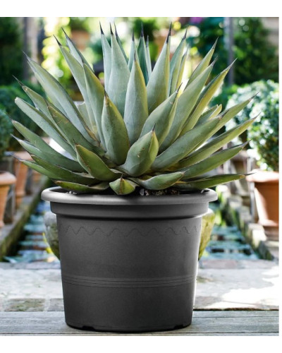 Soucoupe PVC Medea Anthracite 44 cm