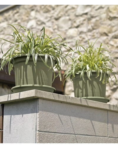 Soucoupe PVC Medea romarin 20 cm