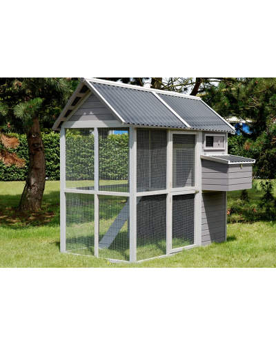 Poulailler MEDIUM SQUARE en sapin avec pondoir et toit en shingle tuilé