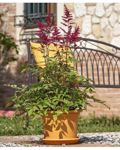 Pot PVC Mangue 20 cm gamme Geo