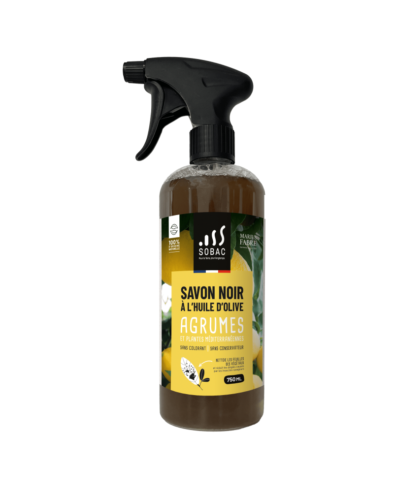 Bactériosol savon noir prêt à l'emploi spray agrumes 750ML