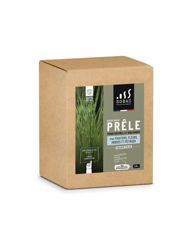 Bactériosol décoction de prêle pae 750ML