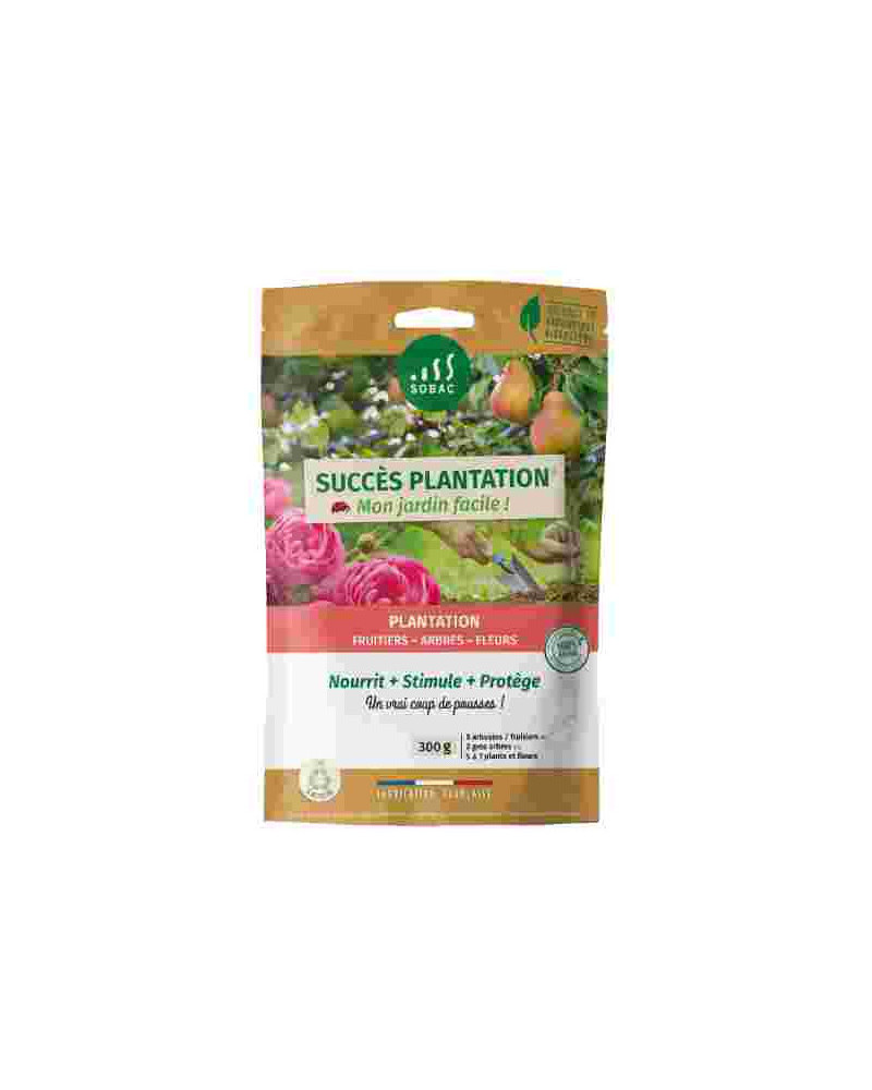 Bactériosol succes plantations 300g